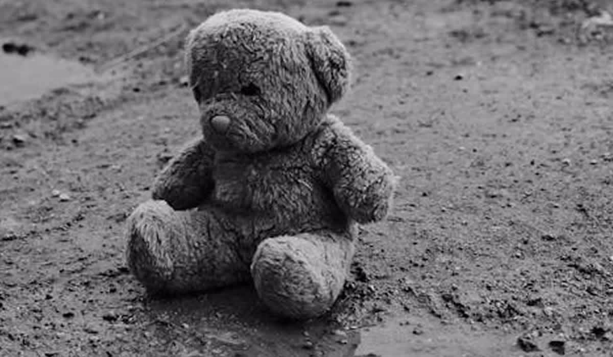 Teddy bear, Daniel Aruebose, deat, irish man deported from brazil