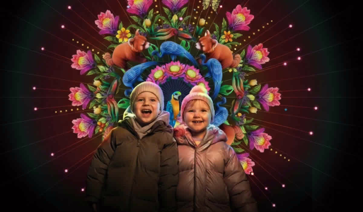 Wildl ights at Dublin zoo, activity dublin zoo, christmas events dublin zoo